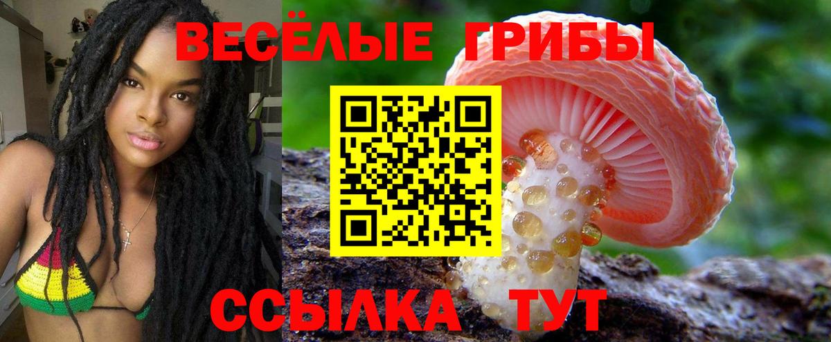 Галлюциногенные грибы ЛСД Анжеро-Судженск