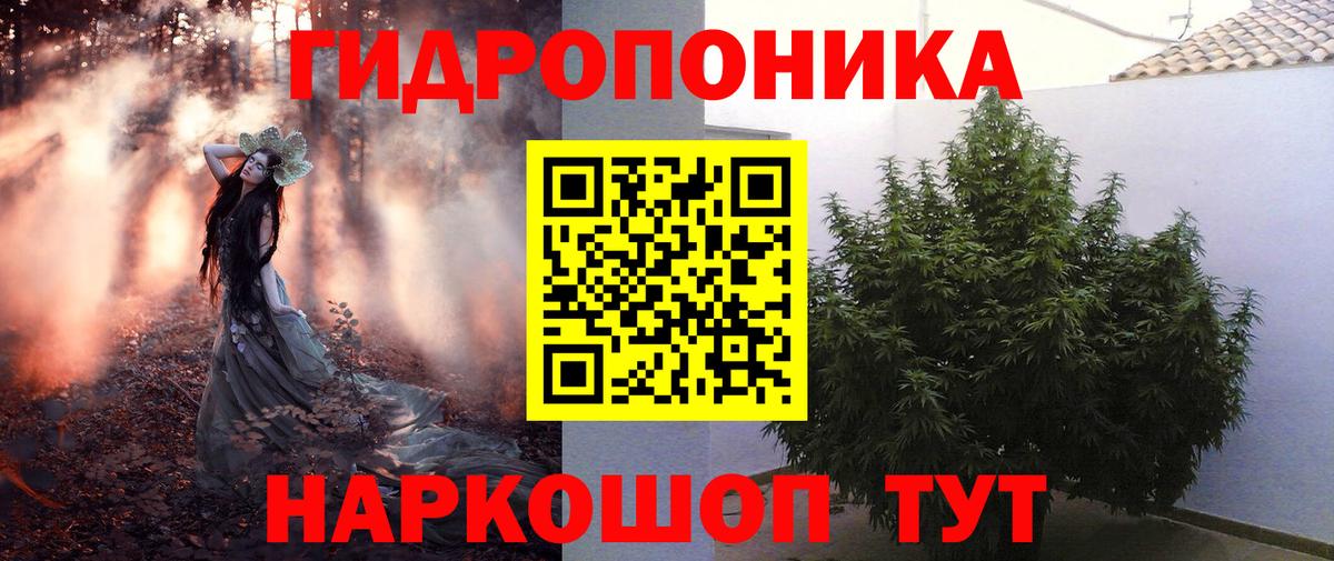Канабис семена Анжеро-Судженск